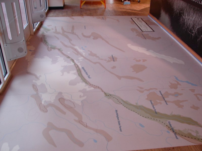 Floor Graphics 3M Graphic Films